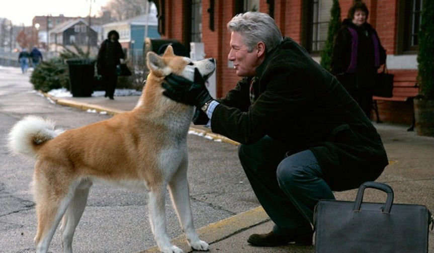 Hachi: A Dog's Tale | 10 películas que definitivamente te harán llorar Su Belleza