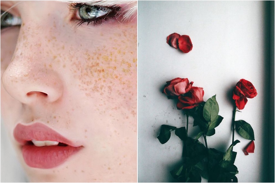 Pétalos de rosa como lápiz labial | 7 consejos de belleza de tu abuela | su belleza