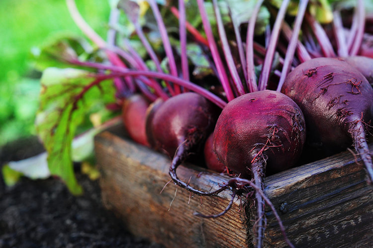 Remolacha |: 11 mejores alimentos para comer en temporada de lluvias | su belleza