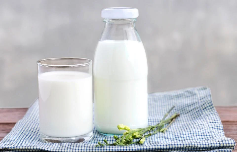 Leche o sustituto lácteo alternativo 10 cosas que debes tener siempre en tu nevera | su belleza